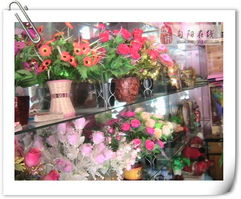 旬陽花之園 花卉世界的精品探秘